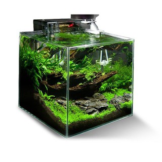 Hồ Cubic 20, 25, 30 - Siêu Trong, dấu keo mài vi tính - Hồ cá thuỷ sinh