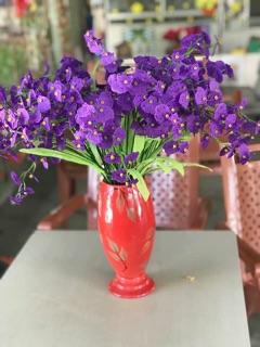 Hoa lan vũ nữ cành
