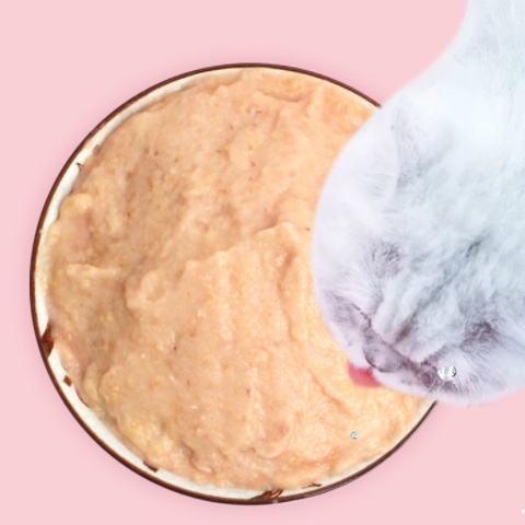 Súp thưởng cho mèo Cat Food 15g/thanh - bù nước, hỗ trợ tiêu hóa tốt
