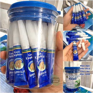 Keo dán tạo hình thuỷ sinh siêu chắc con voi dán rêu, lũa, cây - tặng phụ kiện thủy sinh