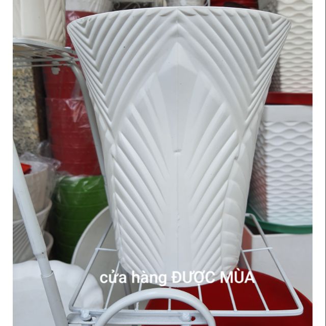 Chậu chiếc lá dạng ống đk 20x24cm