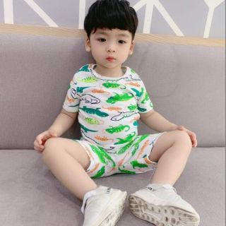 30 bộ bozip bé trai