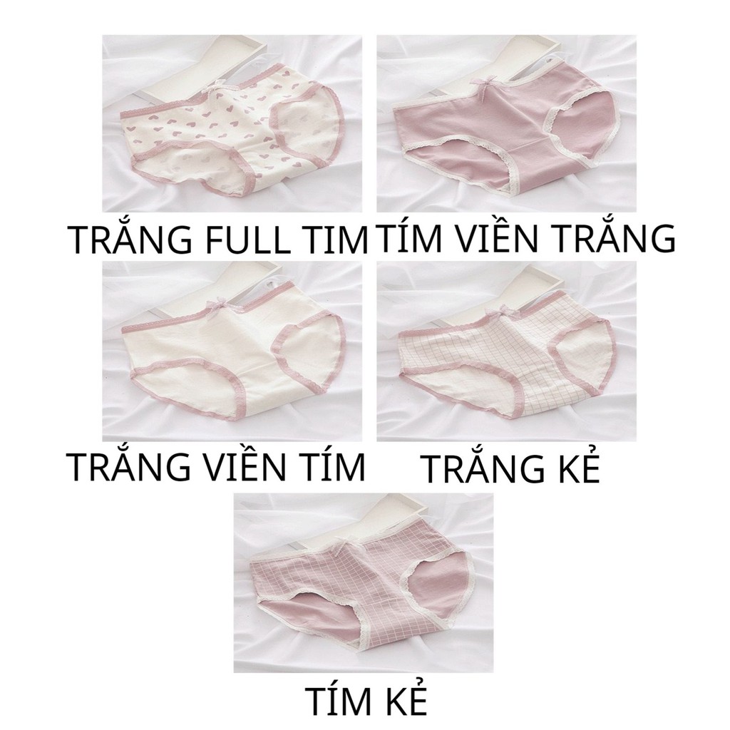Quần lót Nữ Cotton Tim Tingweiya tím đính nơ kháng khuẩn tôn dáng mã L110 | BigBuy360 - bigbuy360.vn