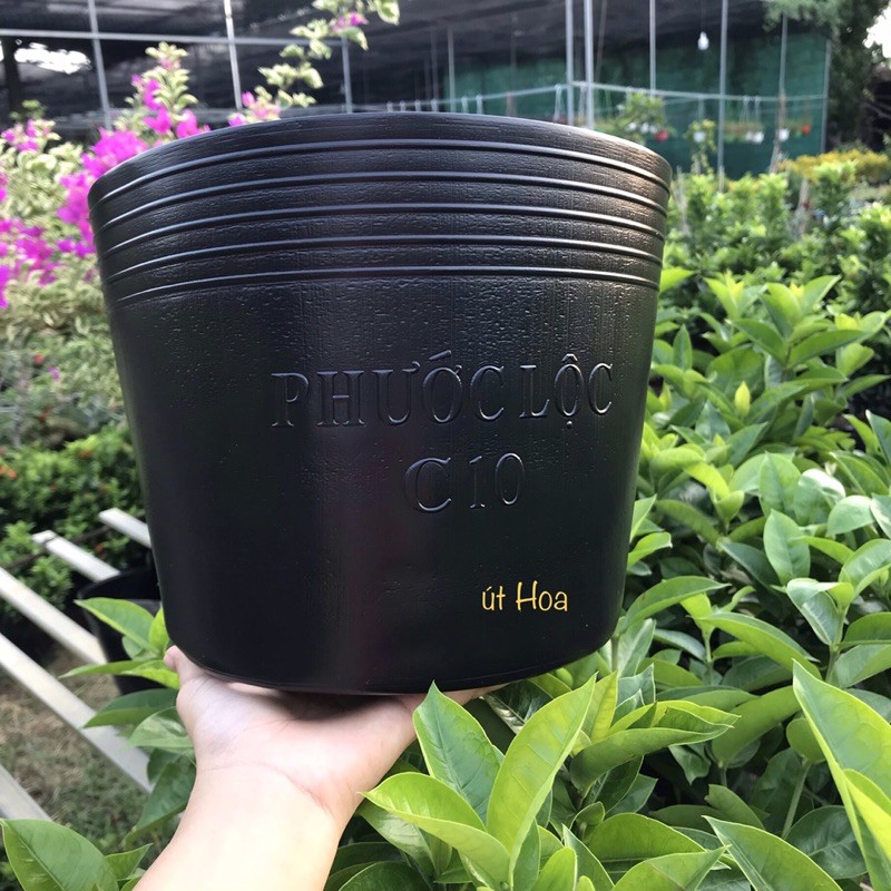 [Loại dày Chậu nhựa đen C10 (25x20 cm) trồng cây, trồng hoa kiểng