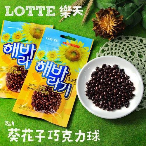 Socola phủ hướng dương Lotte 🔸Hàn Quốc