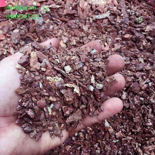 Vỏ thông vụn chuyên trồng lan, ươm kie (1kg)