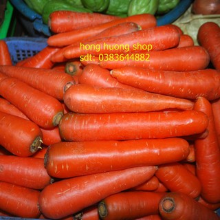 Hạt giống cà rốt