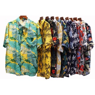 SƠ MI HỌA  - NHIỀU MẪU