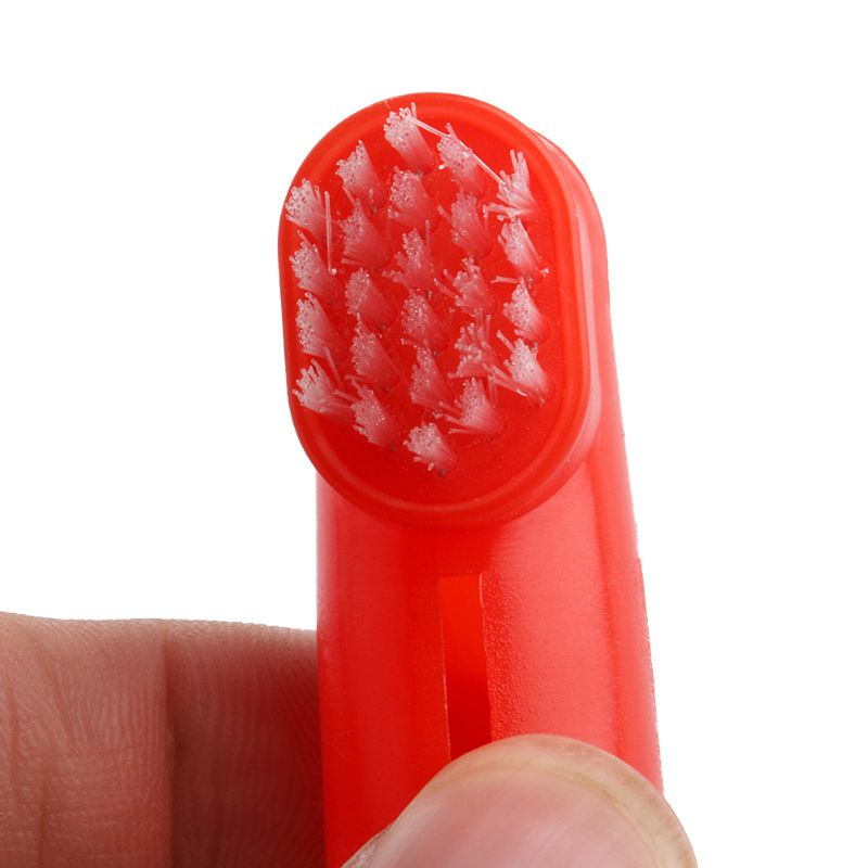 Bàn Chải Đánh Răng Lông Mềm Vệ Sinh Răng Miệng Cho Thú Cưng