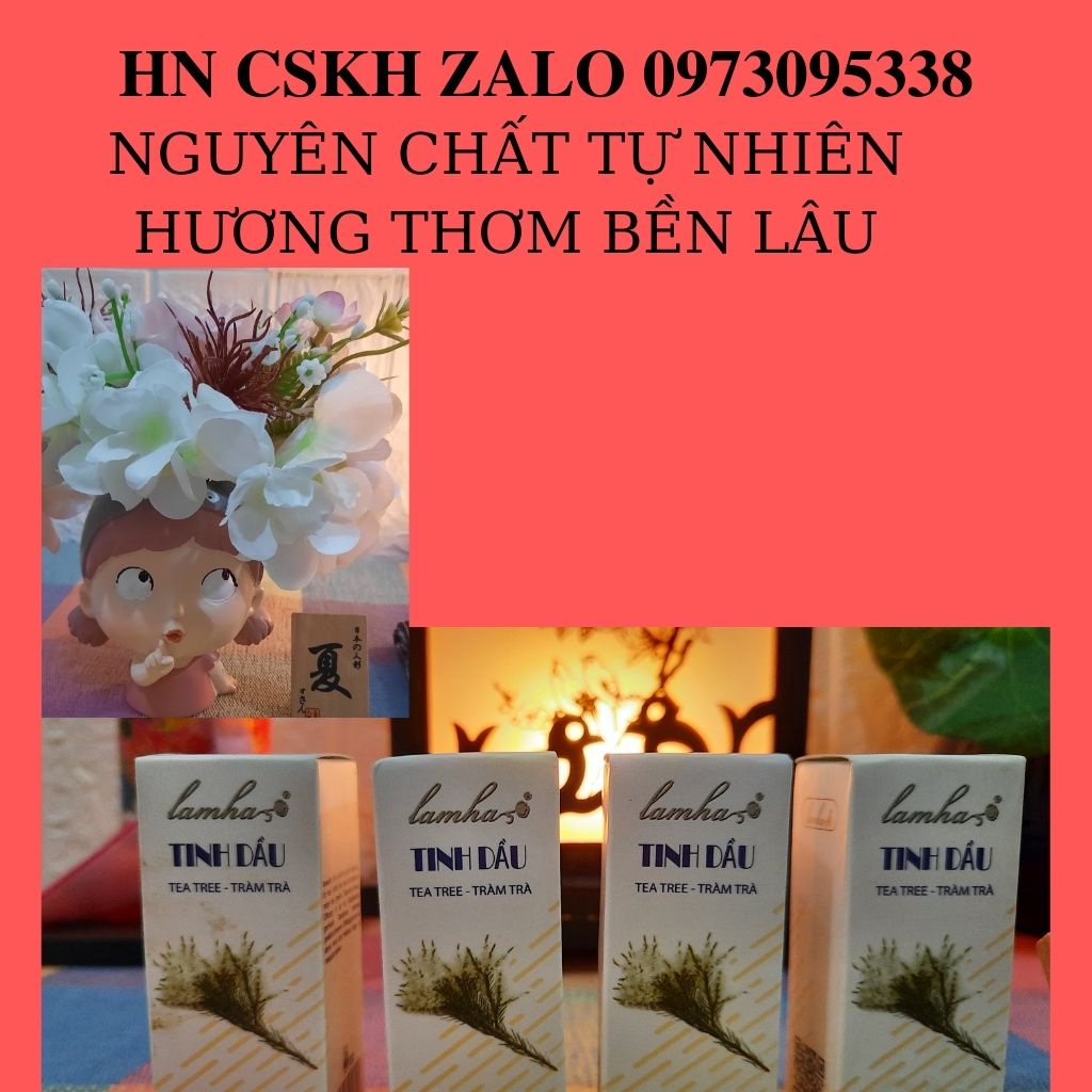Tinh dầu tràm trà Lam Hà 50ml