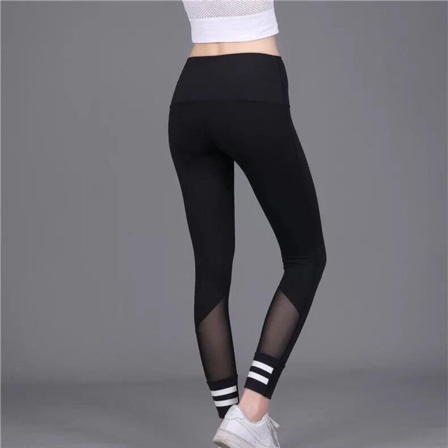 Quần legging lưới sọc cá tính