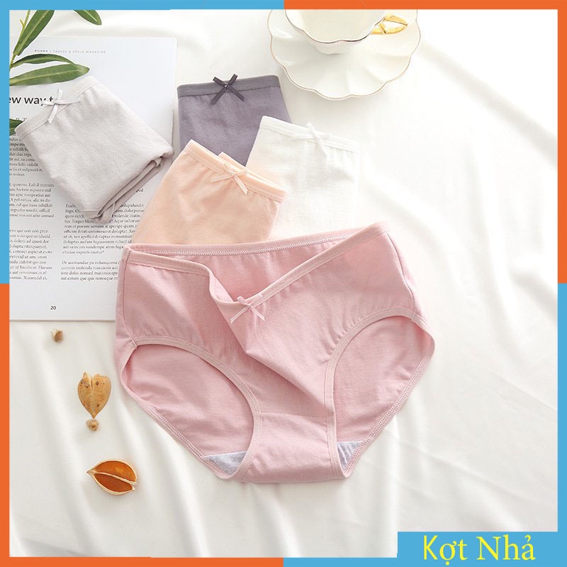 Quần Lót Cotton Basic Cạp Nơ QL31