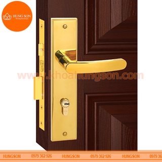 KHÓA CỬA ĐI BẰNG INOX VIỆT TIỆP 04165