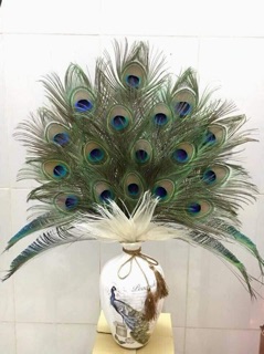 Bình cắm lông công, bình cắm hoa
