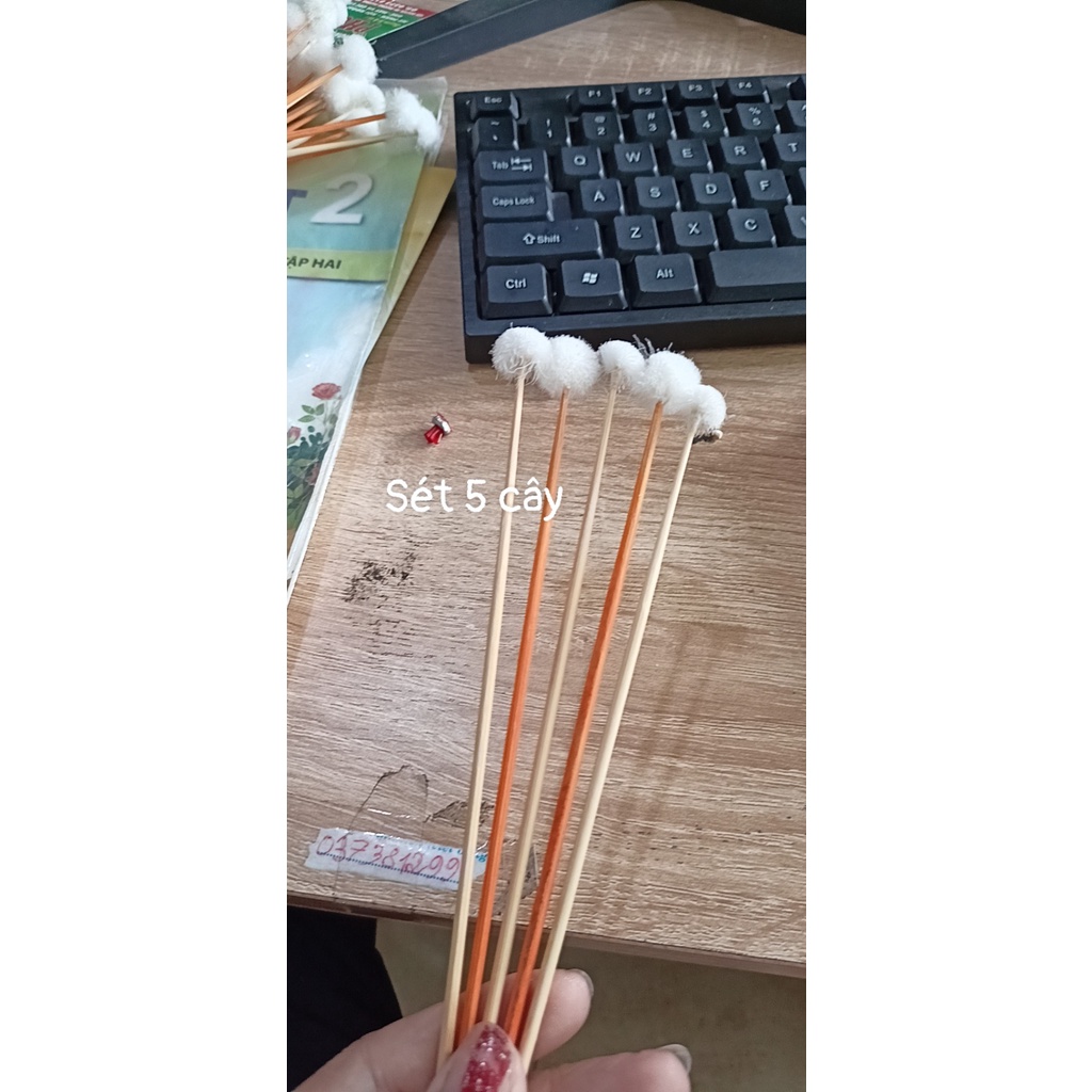 SÉT 10 CÂY BÔNG XE LỖ TAI . THÂN CÂY TRÒN  ĐẦU LÔNG MỀM MỊN .XE TAI BAO PHÊ