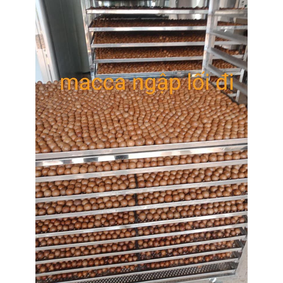 Macca Sấy Đak Lak Loại 1 NAKUSO