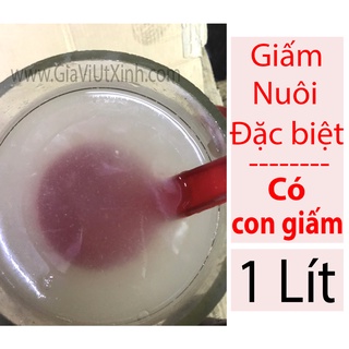 GIẤM NUÔI ĐẶC BIỆT 1 LÍT - FRUIT VINEGAR - BANANA VINEGAR