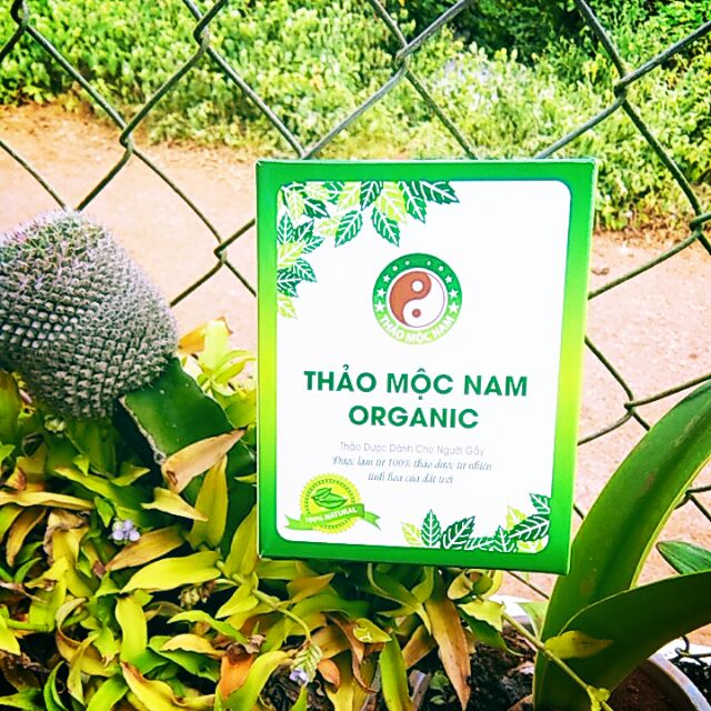 Thảo dược dành cho người gầy - Thảo mộc nam organic