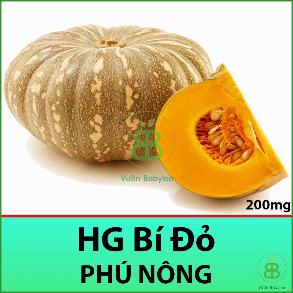 Hạt Giống Bí Đỏ 2Gr Siêu Ngọt, Giàu Dinh Dưỡng