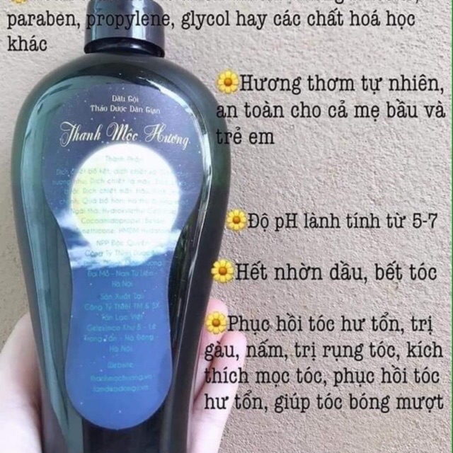 Dầu gội thanh mộc hương MSA combo