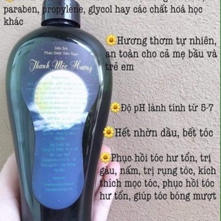 Dầu gội thanh mộc hương MSA combo