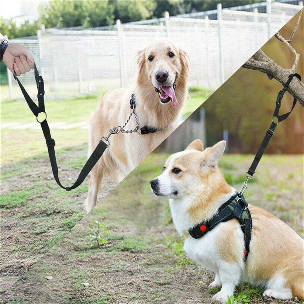 Dây Đai An Toàn Đa Năng Gắn Ghế Ngồi Xe Hơi Cho Chó LAYOR1