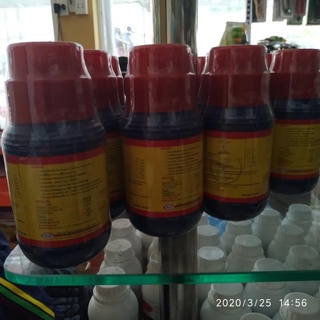 Phân bón lá B1 Thái Lan chai 500ml