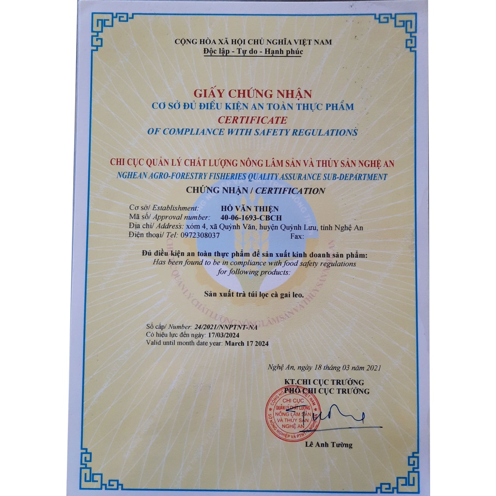 Trà cà gai leo, trà túi lọc cà gai leo Quỳnh Văn giúp giải độc - mát gan cho cả gia đình | BigBuy360 - bigbuy360.vn