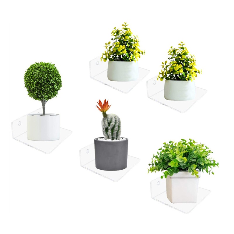 Set 5 Giá Đỡ Trưng Bày Chậu Cây Gắn Tường