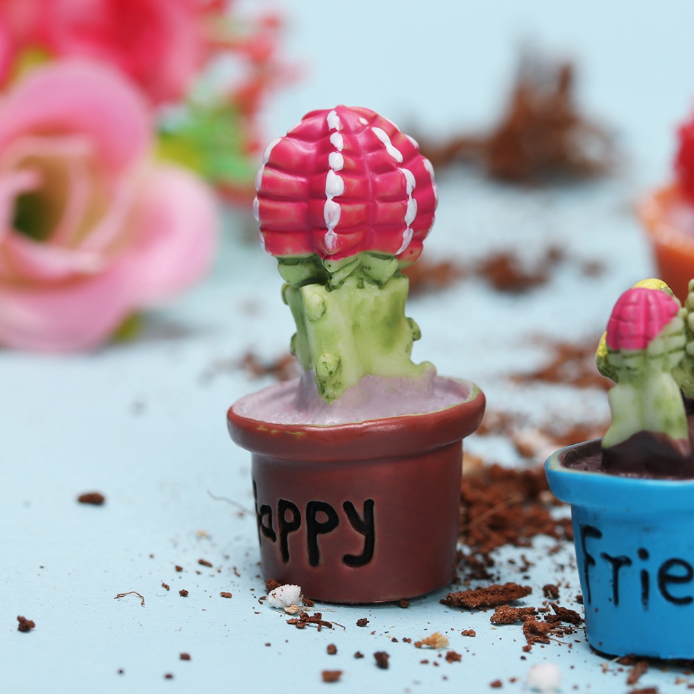 Set đồ trang trí hình chậu cây xương rồng xinh xắn