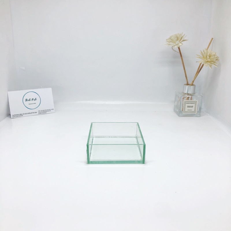 Khay Trồng Cây Thuỷ Sinh, Đựng Thức Ăn Cho Tép Bằng Kính