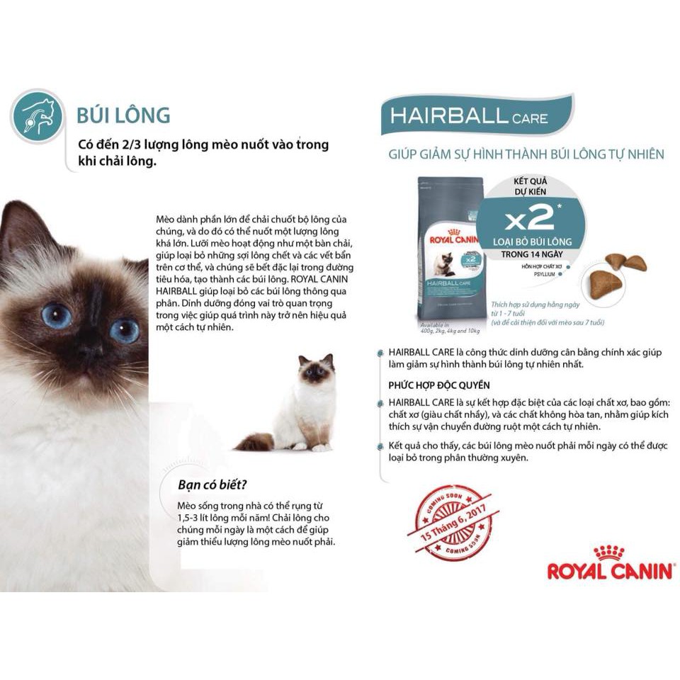 Thức Ăn Cho Mèo Royal Canin Hairball Care Giúp Tiêu Búi Lông