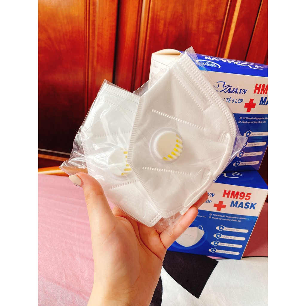 (Hộp 25 chiếc) Khẩu trang N95 kháng khuẩn chống bụi mịn P0341