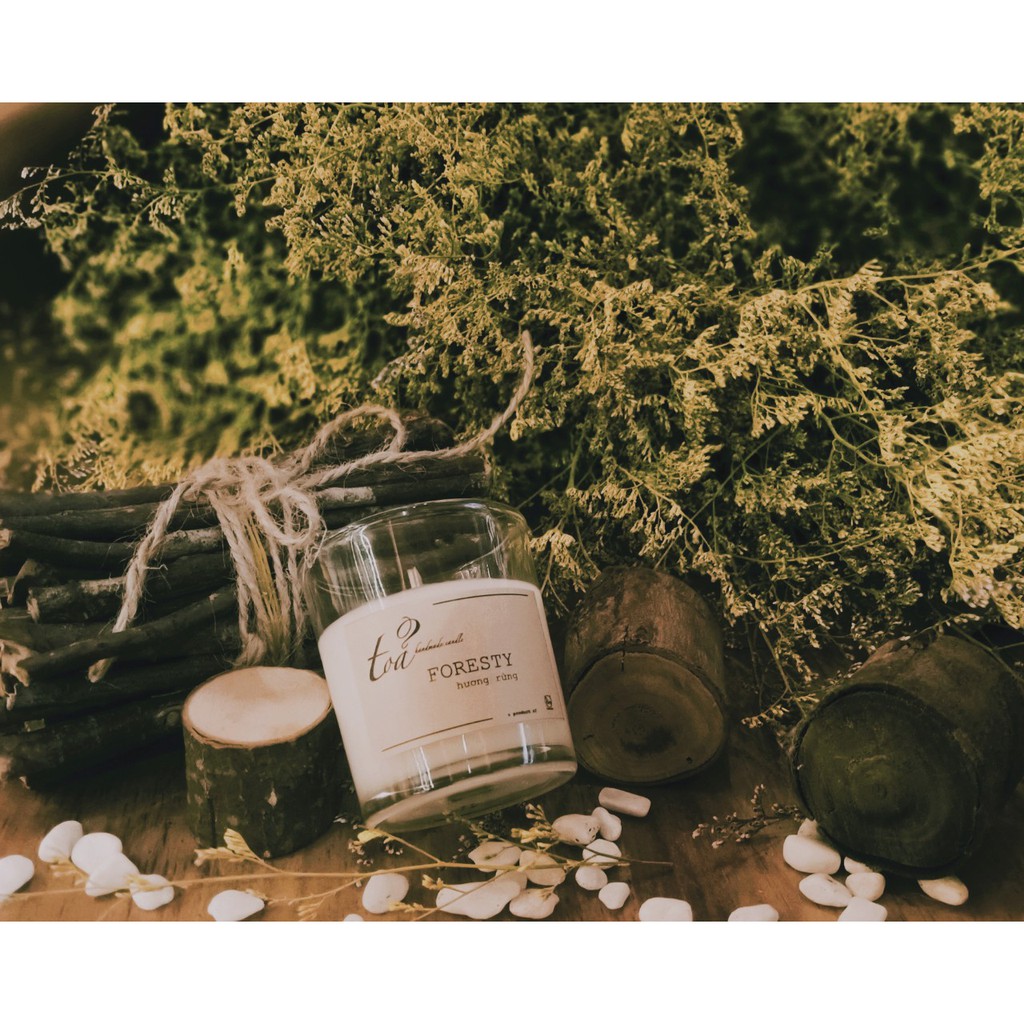 Nến concept Foresty | Tỏa Handmade Candle