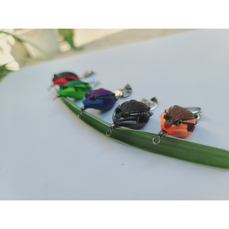 Nhái hơi cóc Tini chuẩn Thái Lan