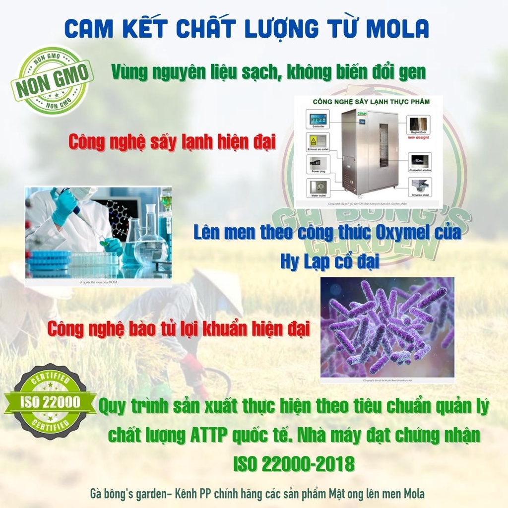 Mật Ong Lên Men Mola Chai 260gr-410gr Mật Ong Lên Men Đề Kháng Bổ Sung Lợi Khuẩn Hỗ Trợ Tiêu Hóa