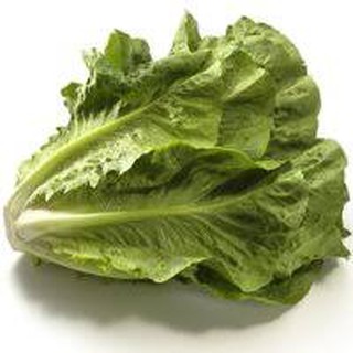 2gram HẠT GIỐNG XÀ LÁCH ROMAINE