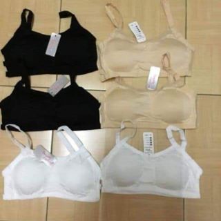 Combo 5 áo bra học sinh