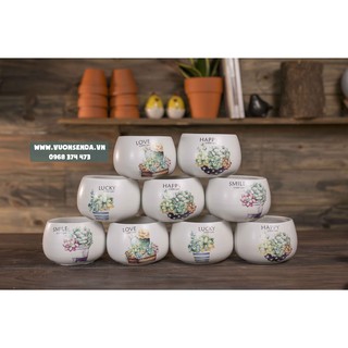 Chậu hạt dẻ hình 10x8cm - Vườn sen đá