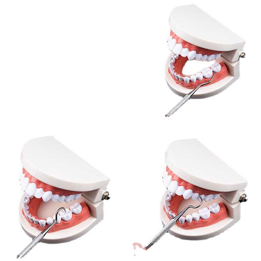 Bộ 3 Dụng Cụ Xỉa Răn, Vệ Sinh Răng Tại Nhà Bằng Thép Cao Cấp Không Gỉ