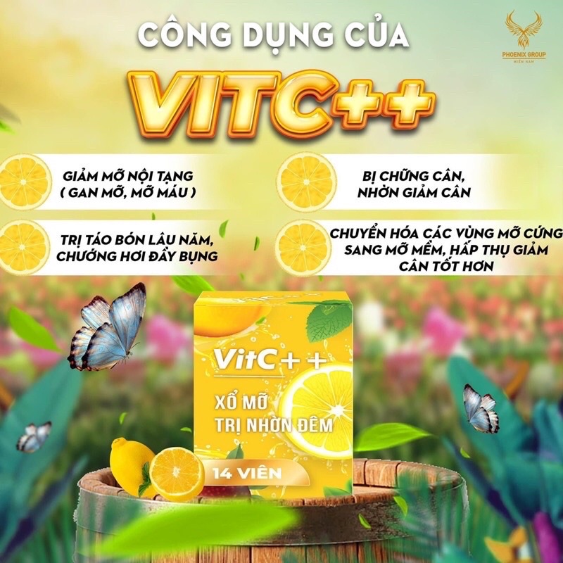 Viên hữu cơ xổ mỡ ban đêm Vitc ++ chính hãng cty Vic 100%