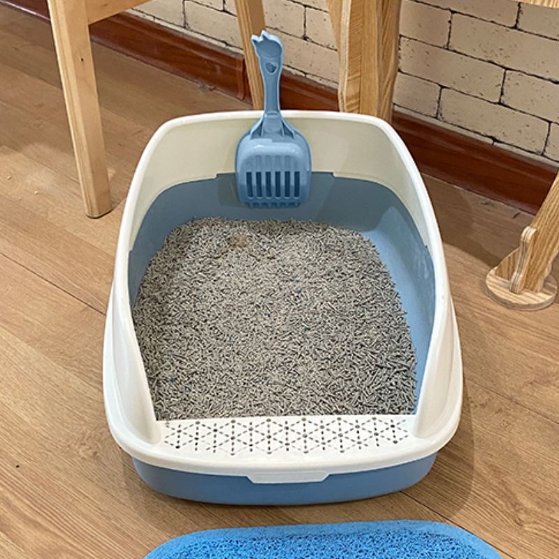 Nhà vệ sinh cho mèo con và mèo lớn size quá to với giá rẻ