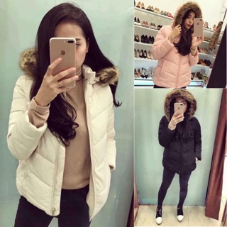 Áo phao combo