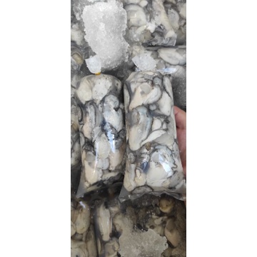 1KG 2 bịch Hào sữa hàng mới 100% như hình!! [Grab + Now Ship] | BigBuy360 - bigbuy360.vn
