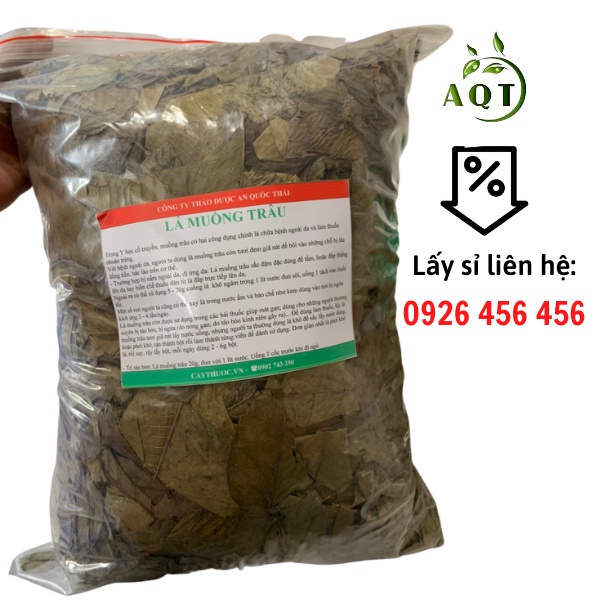 Lá Muồng Trâu khô (1KG) Hỗ Trợ Người Hắc Lào, Vẩy Nến
