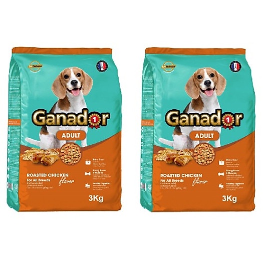 Ganador vị gà nướng Adult  3kg