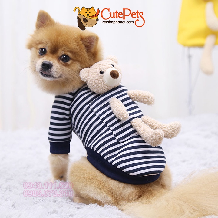 Áo cho chó mèo, áo nỉ mùa đông đeo gấu cute - Phụ kiện thú cưng Hà Nội