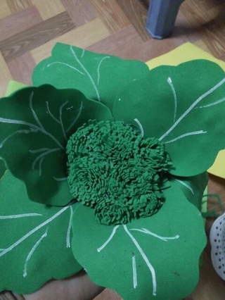 Bắp cải, súp lơ