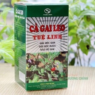 Cà gai leo tuệ linh