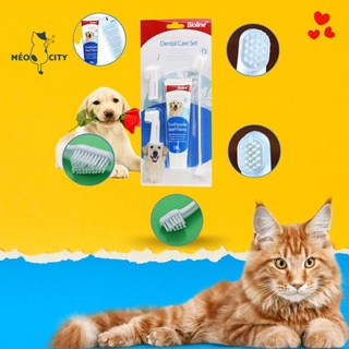 Kem đánh răng cho chó[FREESHIP] Bàn chải đánh răng thơm miệng cho chó - Bộ kem đánh răng cho chó vị bạc hà bò cam